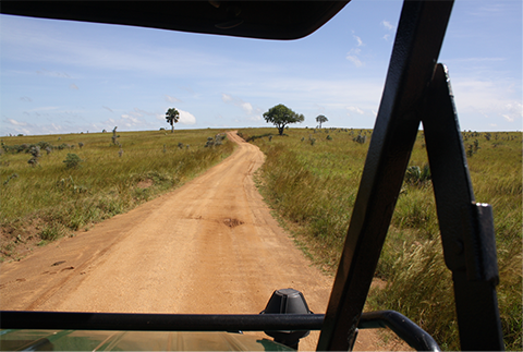 Photo by Judith Shanks.