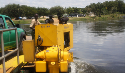 Photo by Judith Shanks.